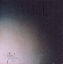 The Association of Lotus #2 Ink and Acrylic on Paper 1982